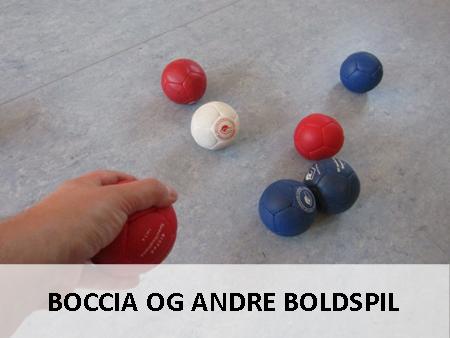 Boccia og andre boldspil